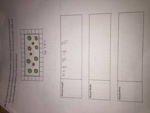 The diagram shown represents a garden. The scale is 2/3 centimeters for every 3 1/2 meters. Each sq