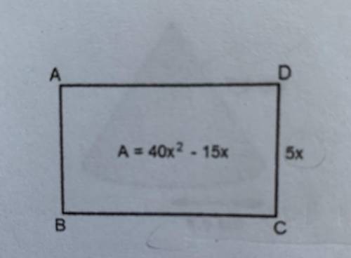 10. The area of a rectangle ABCD (mark in the middle of the rectangle). The perimeter of this sam