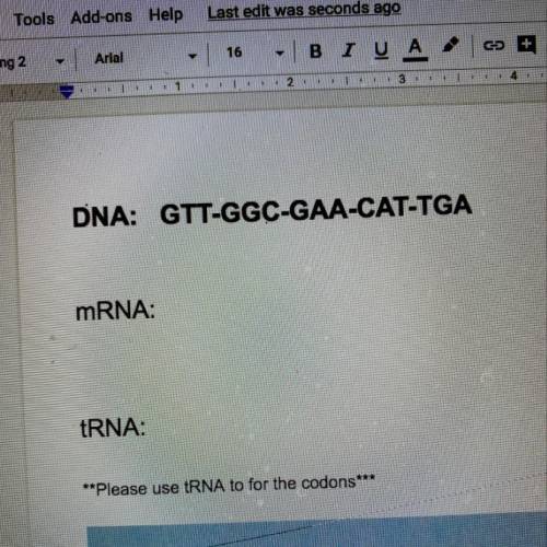 What is this translated to mrna
and trna?