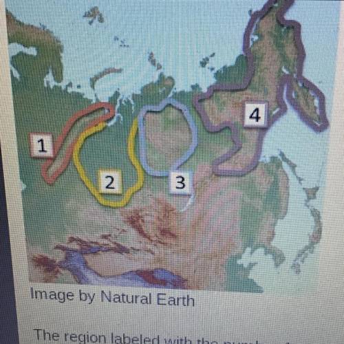 The region labeled with the number 1 on the map above is? A. Eastern Siberian highlights B. Central