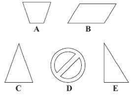 THIS IS 1 QUESTION YEAR 9 MATHS PLEASE HELP ME

Here are five shapes.
Two of these shapes have rot