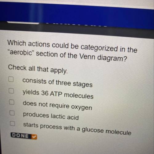 Which action categorizes in aerobic ?