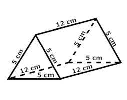 HELP ASAP PLEASE

Are the bases of the prism equilateral triangles? Why or why not? Note: The base