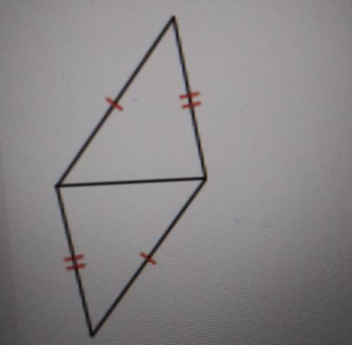 Based on one of the Triangle Congruence Postulates, the two triangles are shown are congruent

Tru