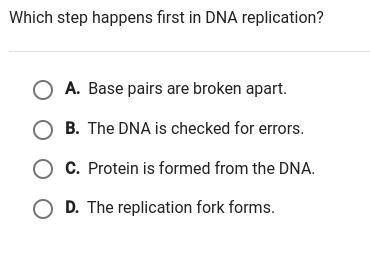 Which step happens first in DNA replication?