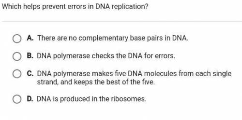 Which helps prevent errors in DNA replication?
