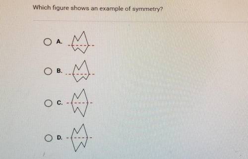 Which figure shows an example of symmetry?OAO BoO D