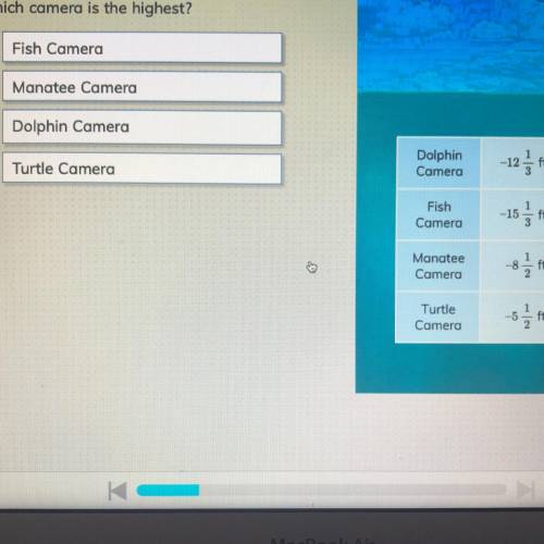 The table lists the locations of four underwater cameras relative to sea level which is the highest