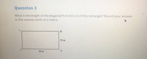 Please help me with my math question!!