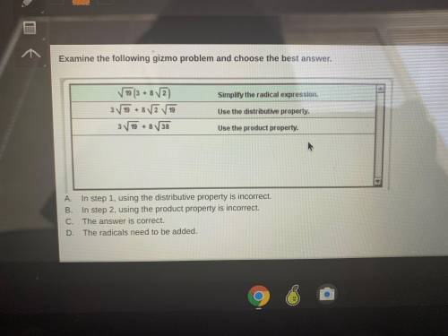 Examine the following gizmo problem and choose the best answer