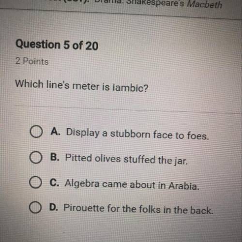 Which lines meter is iambic?