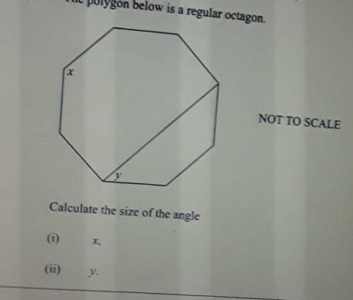 The polygon below is a regular octagon Calculate the sides of the angles x and y.