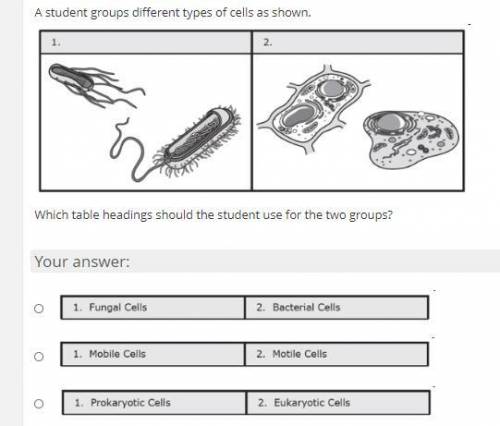 student groups different types of cells as shown. Which table headings should the student use for t