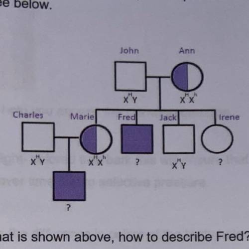 Based on the pedigree that is shown above, how to describe Fred?