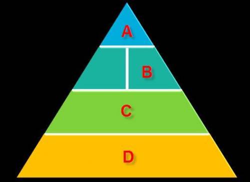 Where on the physical activity pyramid do sedentary activities belong? A. A B. B C. C D. D