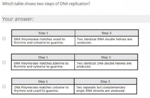 Which table shows two steps of DNA replication?