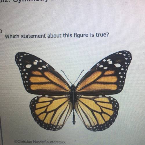 Which statement about this figure is true. I It has no reflectional symmetry. 2 It has point symmet