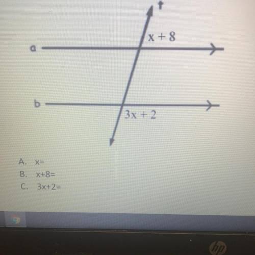 Given the picture below, find x and both angles.

X + 8
3x + 2
A.
X=
B. X+8=
C. 3x+2=