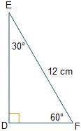 ******WHO ANSWERS WILL BE MARK AS BRAINLIEST******\

The length of the segment EF is 12 cm. What i