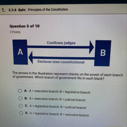Confirms judges

A
B
Declares laws constitutional
The arrows in the illustration represent checks
