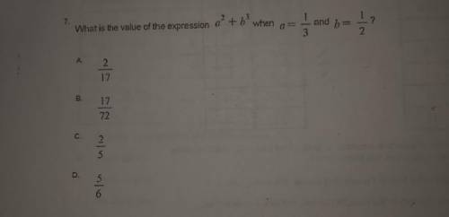 What is the value of the expression a2 + b3 when a= 1/3 and b= 1/2 ?