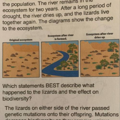 A population of a lizard species lives in an

ecosystem. An increase in rainfall causes a river
to
