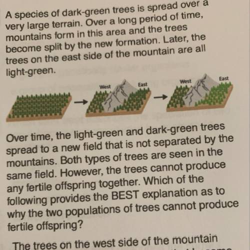 A species of dark-green trees is spread over a

very large terrain. Over a long period of time,
mo
