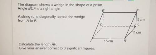 The diagram shows a wedge in the shape of a prism.

Angle BCF is a right angle.A string runs diago