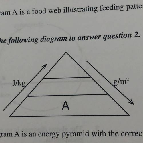 True or false, diagram A is an energy pyramid with the correct simple concepts??