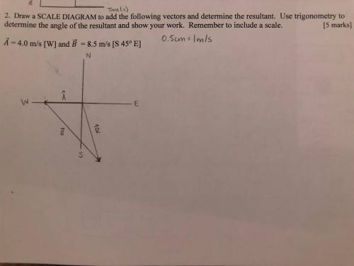 Please help I give brainliest. Draw a SCALE DIAGRAM to add the following vectors and determine the