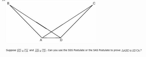 Help plz i will make u a brainllest 24.Can you use the SSS Postulate or the SAS Postulate to prove