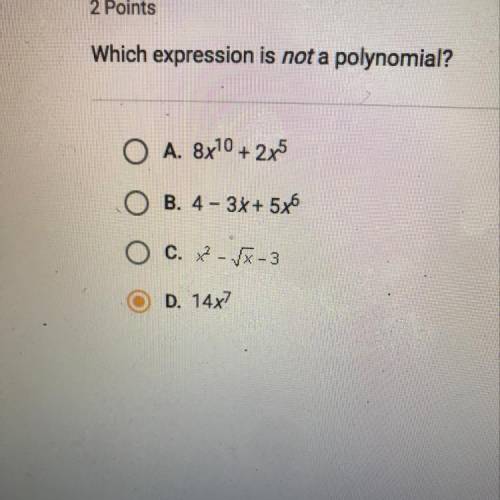 Which expressions is not polynomial