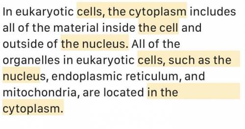 This is a cheek cell

I need an answer for where's the nucleus, cytoplasm, and cell membrane in thi