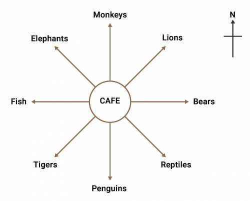This is a map of a zoo showing the various animal enclosures. Amber is in the cafe. After a three-q