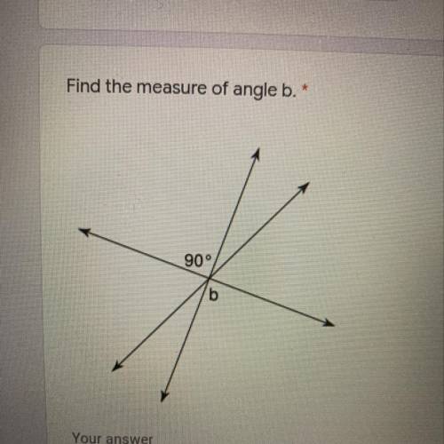 Find the measure of angle b. 
your answer ____