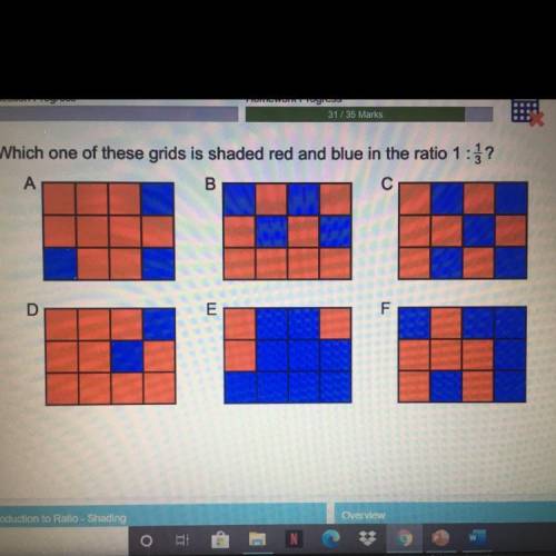 I’m confused please help!
