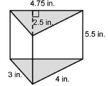 Paul cut a wedge of cheese in the shape of a triangular prism. The diagram shows the dimensions of