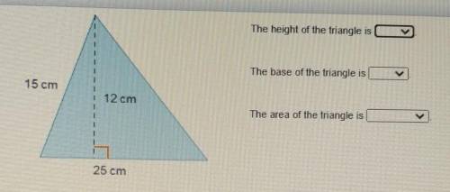The height of the triangle isThe base of the triangle isThe area of the triangle is