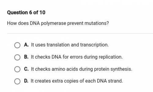 How does DNA polymerase prevent mutations!