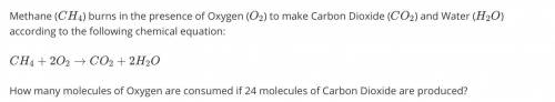 How many molecules of Oxygen are consumed if 24 molecules of Carbon Dioxide are produced?