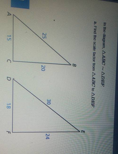 Help me find the scale factor please