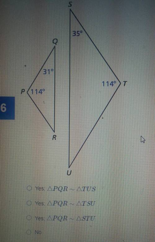 Are the triangles similar?