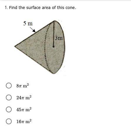 *PLEASE ANSWER TY* Find the surface area of this cone.