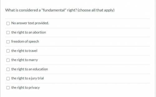 What is considered a fundamental right? (choose all that apply) Select all that apply the right t