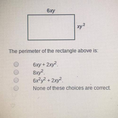 Adding polynomials, which one is correct ?