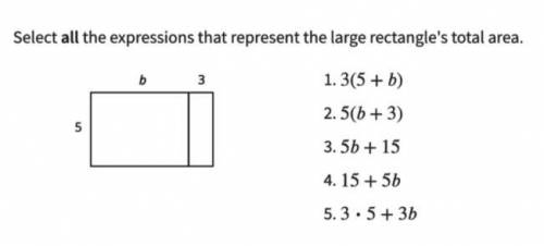 Select all the expressions that represent the large rectangle's total area