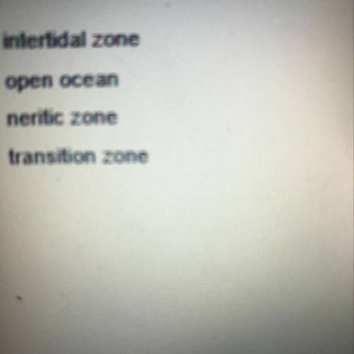Which option identifies one section of the ocean floor?
