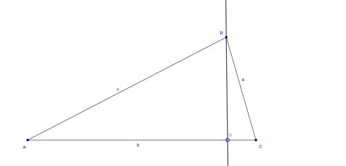 In terms of the trigonometric ratios for ΔBCD, what is the length of BD? Insert text on the triangl