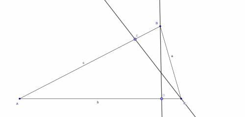 In terms of the trigonometric ratios for ΔBCE, what is the length of CE? Insert text on the triangl