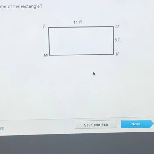 What is the perimeter of the rectangle?